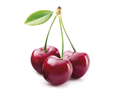 Terzetto Love 150g – Cherries & Hazelnuts & Cranberries in Chocolate