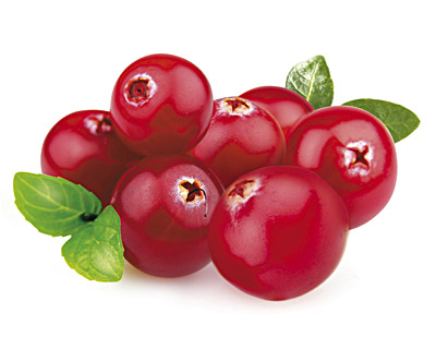 Bio-Cranberries-Pralinen in Schokolade im Kartonbeutel 50g