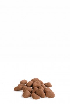 Imbir w czekoladzie z kakao - LUZY 2 kg