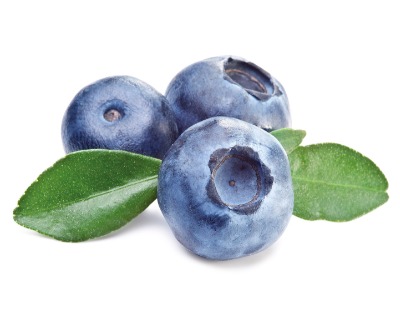 Blueberries in Chocolate - Doti 100g gift bag